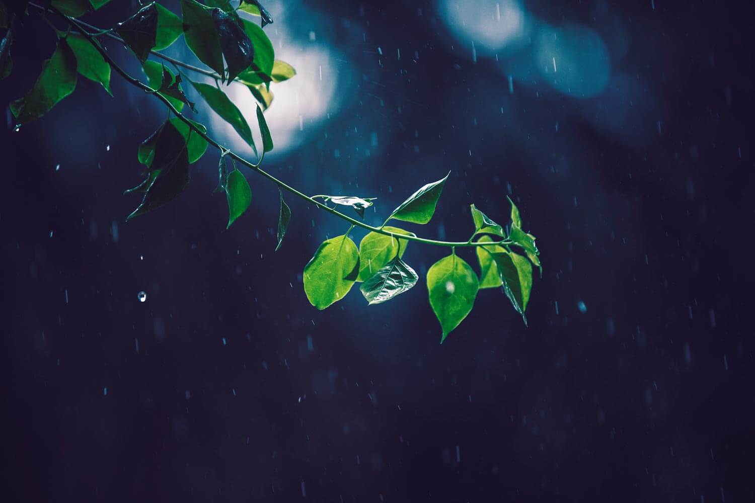 packaging automation environmental benefit