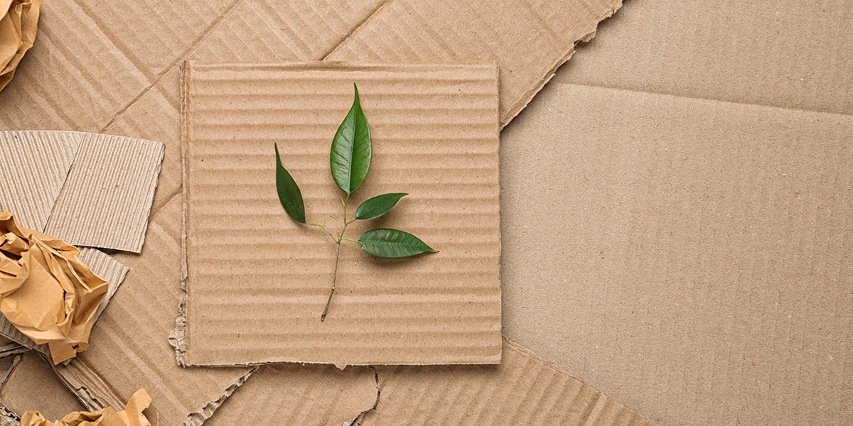 Green leaves and crumpled paper on carton