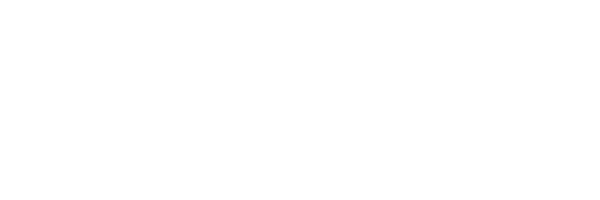 Magnet Logo